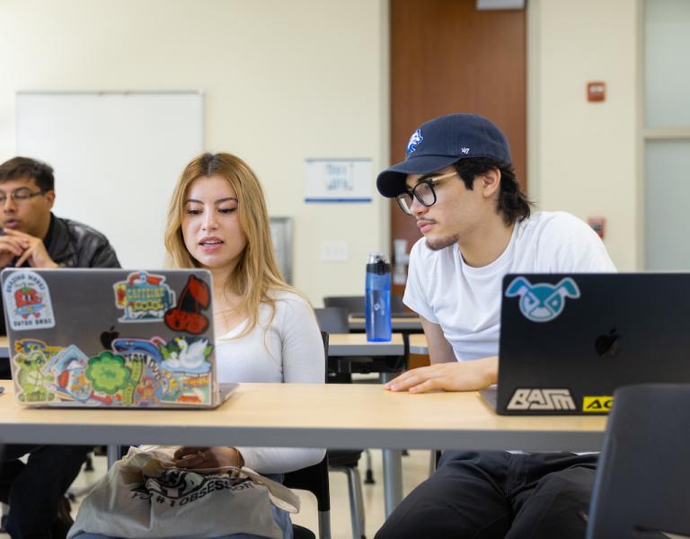 Students Looking at Laptops